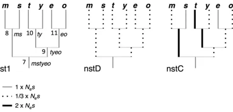 Figure 1 Three schemes of natural selection driving base compositionevolution illustrated in phylogenetic trees for six Drosophila species withrelative branch lengths used to simulate sequence data