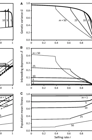 Figure 6 Equilibrium genetic variance before selection in the IMS (A),actersC), as functions of population selalong with inbreeding depression and population mean ﬁtness (B andﬁng rate, for different numbers of char- m