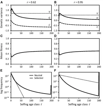 Figure 2 Purging of genetic variance under con-variance after selection is virtually indistinguishablefrom that before selection