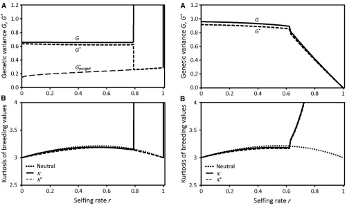 Figure 4 Equilibrium genetic variance as a function of selﬁng rate foreach of 25 identical uncorrelated characters under stabilizing selection inthe IMS