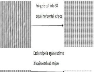 FIGURE 1.5. STEPS FOR CUTTING THE FRINGES 