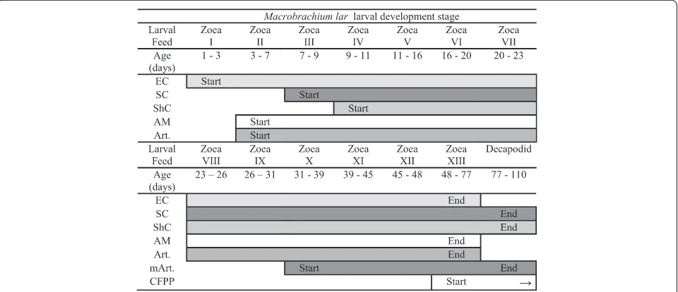 Table 2 Feeding sieve mesh sizes used for particularlarval stages