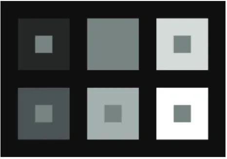 Figure 4. The large squares illustrate the principle that increased contrast is attention grabbing