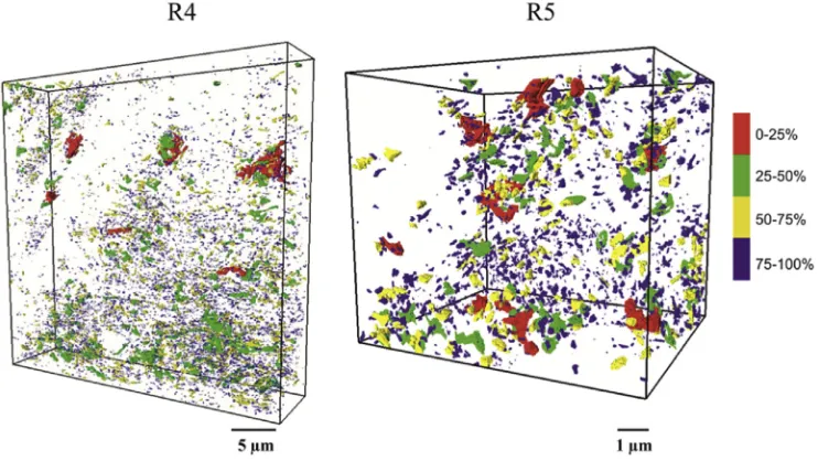 Fig. 5. 2D images and 3D renders of the different pore types at R4 and R5 (A) 2D slices of the 3D-EM dataset with coloured four pore types, blue: organic matter interface pores,referring to pores lying at the interface of organic matter and minerals, green