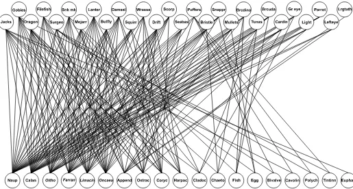 FIGURE 4. A food web for the tropical/subtropical oceanic waters in the Straits of Florida of 28 co-occurring larval fish families (which comprised 90% of all collected larvae; 4,704 larvae inspected) and their zooplankton prey