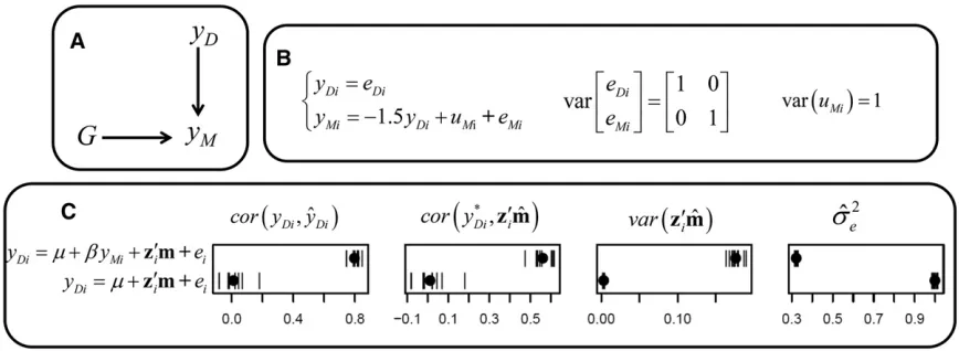 Figure 3 (A) Causal structure, (B) causal model used for simulation, and (C) results fromof these results are given fromsame traits, and ﬁtting alternative models