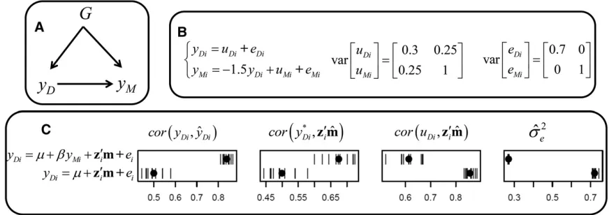 Figure 4 (A) Causal structure, (B) causal model used for simulation, and (C) results fromeand of deviations fromthese results are given from ﬁtting alternative models