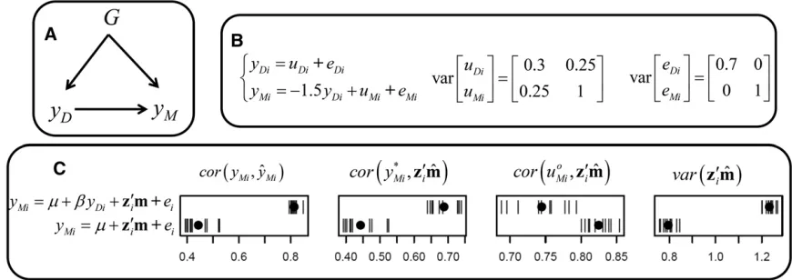 Figure 5 (A) Causal structure, (B) causal model used for simulation, and (C) results fromeffects, andgenomic predictors [varC,phenotypes [cor ﬁtting alternative models