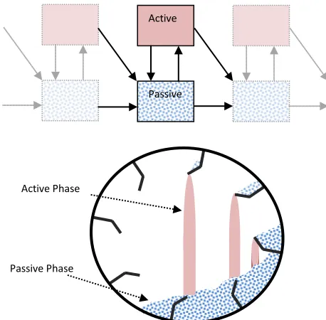 Figure 1. Cross section of an operating flighted rotary dryer (below) and the corresponding pseudo-physical compartment model (above)