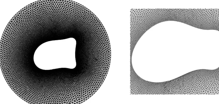 Fig. 9. Global and close up view of a typical mesh used for the simulation of cell chemotaxis