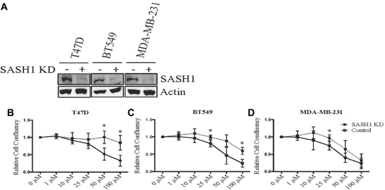 Figure 5: SASH1 depletion partially rescues chloropyramine-induced apoptosis in breast cancer cell lines