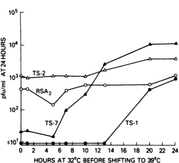 TABLE 1. Effect of adsorption temperature on thegrowth of wild-type RS virus, ts-1, ts-2, and ts-7