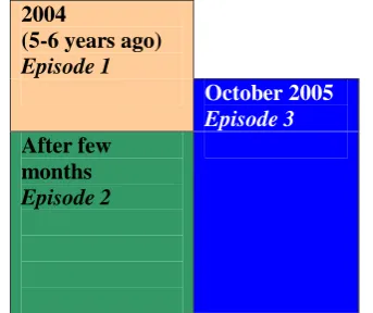 Figure 3. Grouping episodes into segments with local coherence for an Anamnesis written in 2010