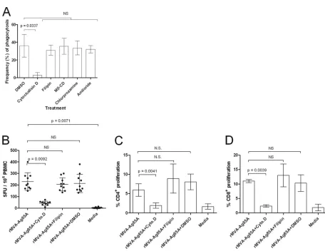 FIG 7 Uptake of apoptotic bodies by ALDC is by actin-mediated phagocytosis. (A) PKH-67-labeled ALDC were infected with rMVA-Ag85A (MOIfrom events present in the upper right (UR) quadrant as shown in Fig