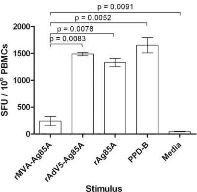 FIG 1 MVA-expressed Ag85A is not efﬁciently presented by ALDC. FACS-sorted FSChigh DEC-205� cells from MHC-deﬁned animals were infected withrecombinant viruses expressing Ag85A or loaded with rAg85A (2 �g/ml) orPPD-B (20 �g/ml) and were used as antigen-pre