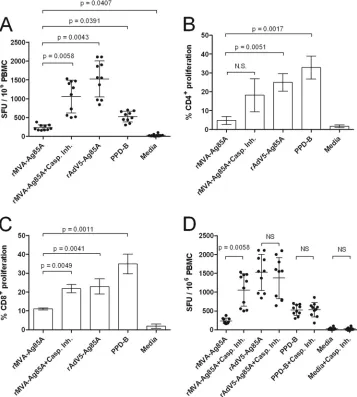 FIG 4 Blocking MVA-induced apoptosis improves antigen presentation in vitro. ALDC were infected with rMVA-Ag85A in the presence or absence of caspaseinhibitor cocktail or with rAd5-Ag85A (as described in Materials and Methods), were loaded with mycobacteri