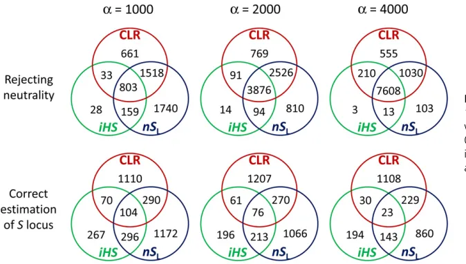 Figure 3 Numbers of simulation replicates (of10,000) from which incomplete selection sweepswere detected (rejection of null hypothesis at0.001) and the correct site under selection wasinferred, individually or jointly by the CLR,and P , iHS, nSL methods