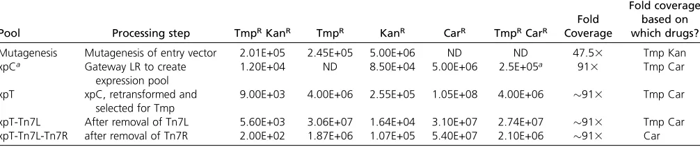 Table 1 Sizes of mutagenized DCW1 pools