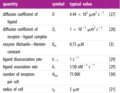 Figure 2. Simulated ligand concentration and receptor occupancy for a stationary circular cell with no breakdown