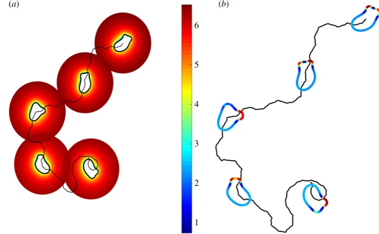 Figure 3. Simulated ligand concentration and receptor occupancy for a stationary circular cell with membrane-bound enzyme breakdown.