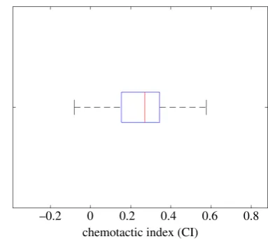 Figure 6. (a) Cell trajectories for simulated cells migrating in a shallow linear ligand field