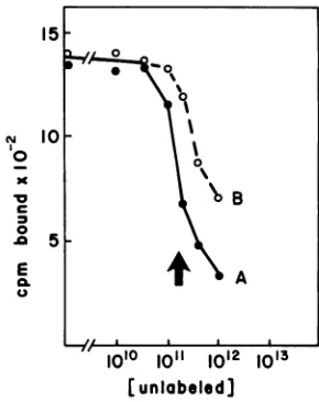 FIG.Minutes2filtrationMVM[3H]thymidine-labeledated4CC;cellscleporetime.the h1. Effect of temperature on the binding of to A-9 cells in suspension