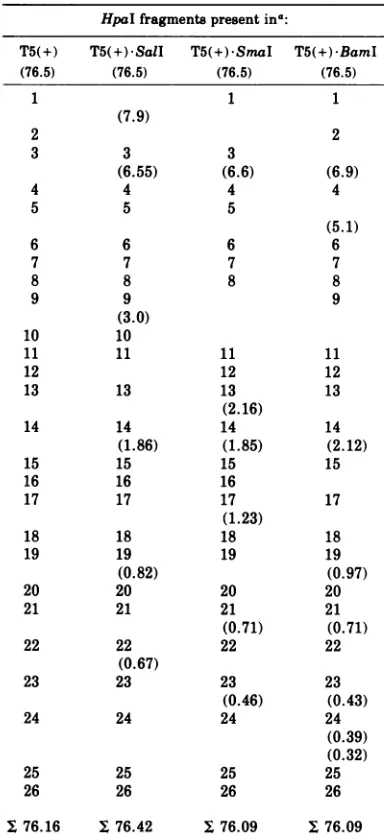 TABLE 6. Effect ofprior digestion with X exonucleaseon HpaI cleavage pattern