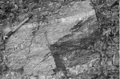 Figure 11: Outcrop of Cotton Grove granodiorite imprinted by Sm composite fabric