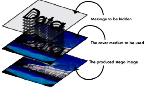 Figure 1: Data Hiding    