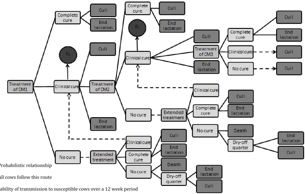 Figure 2-1 Schematic representation of the model designed to simulate the cost of a case of clinical mastitis