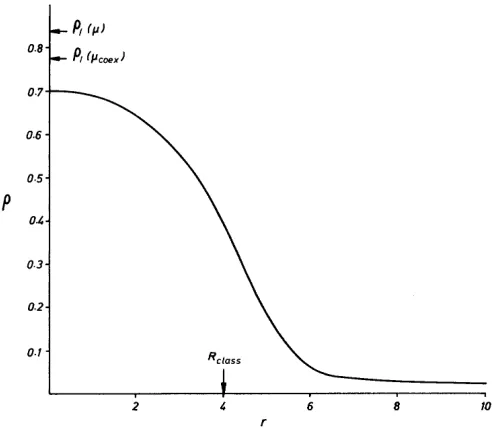 Figure 2.7: Fig. 1 from Oxtoby and Evans (1988). Density proﬁle for a critical clusterChern