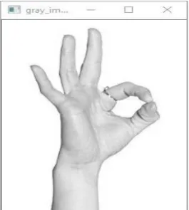 Fig. RGB to Gray conversion 