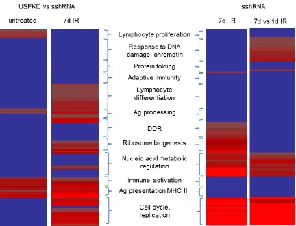 Figure 6. Heat map of the clustering among the enriched Gene Ontology biological  process terms annotated to the DEGs