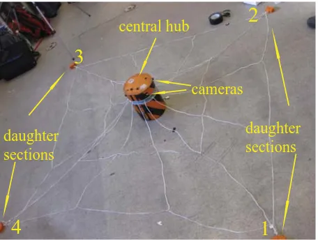Fig. 1 Central hub and daughters (CHAD) with attached web at the launchcampaign.