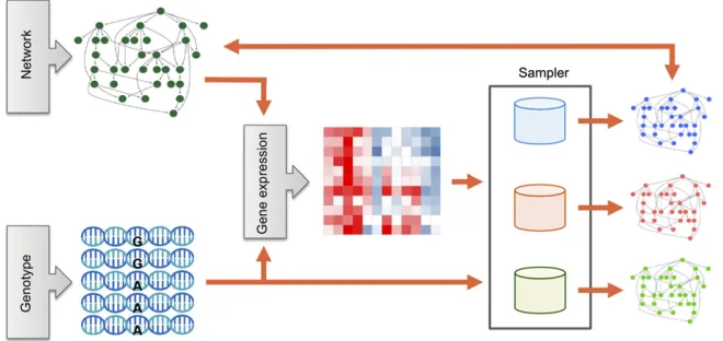 Figure 1 Workﬂow of simulation study. Systemsgenetics data composed of gene expression andgenotyping data were generated based on a regu-latory network consisting of genes and SNPs.Bayesian networks were estimated by applying var-ious structure MCMC sample