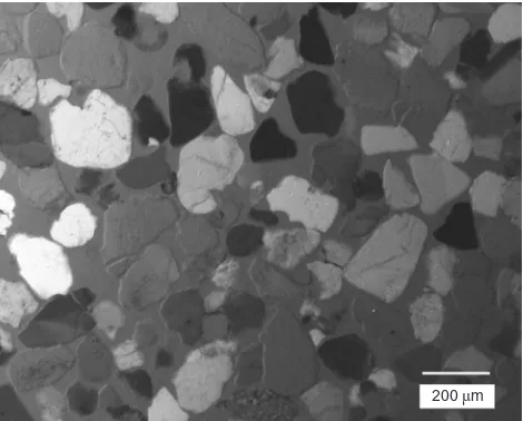 Fig. 1. Microscope image of thin section of Reigate sand undercross-polarised light