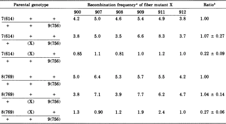 TABLE 5. Results of three-factor crosses to position the 900 fiber mutation