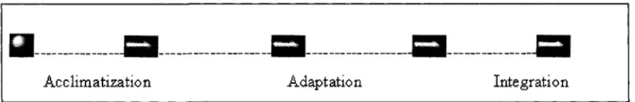Figure 2.3 The Settlement/Integration Continuum 