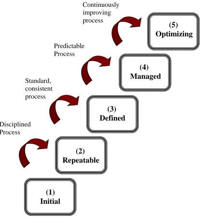 Figure 1.  Diagram of the five levels of the Capability Maturity Model [12]. 