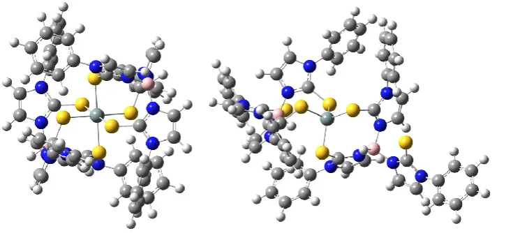 Figure 3.  The in-silico derived structures of [E(TmR)2]n+ in an octahedral (left) and a tetrahedral coordination geometry