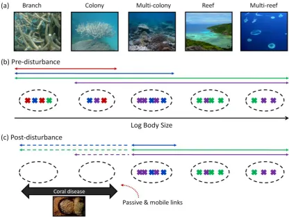 Figure 6-5: Influence of disturbance on the distribution of functional groups across scales