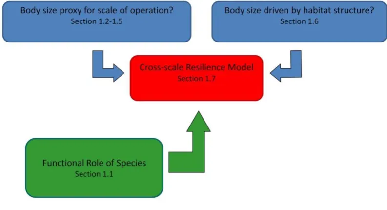 Figure 1-1: Relationship between the cross-scale resilience model (red), required knowledge on the functional role of species (green), and the underlying assumptions of the model relating to the spatial ecology of reef fishes (blue)