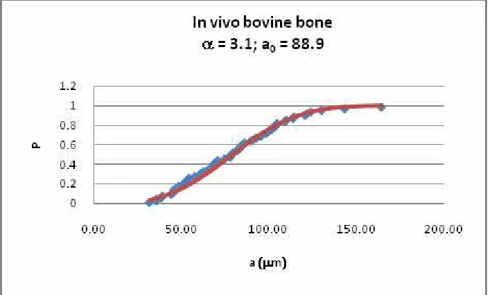 Figure 5: Example of our analysis of microcrack data, showing a two-parameter Weibull fit to the crack length distribution in bovine bone samples subjected to normal in vivo loadings