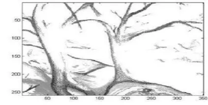 Figure 1.2: Histogram after CHE                   
