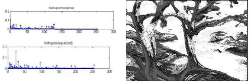 Figure 1.8: Histogram of RMSHE                                      