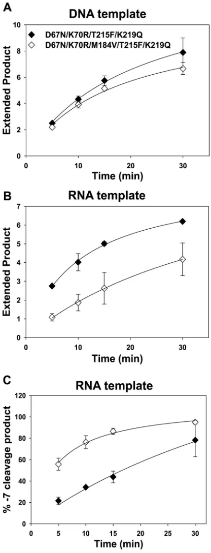 FIG 5 Effect of the M184V mutation in a D67N/K70R/T215F/K219Q back-ground on rescue of AZTMP-terminated primer and formation ofH cleavage product