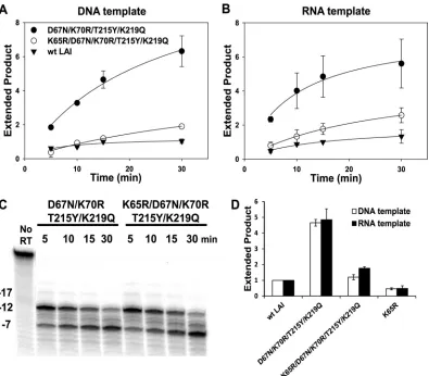 FIG 8 Effect of the K65R mutation in a D67N/K70R/T215Y/K219Q background on rescue of AZTMP-terminated primer and formation of RNase H cleavageproducts