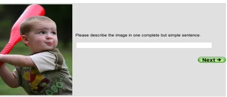 Figure 1: Screenshot of the image annotation task.