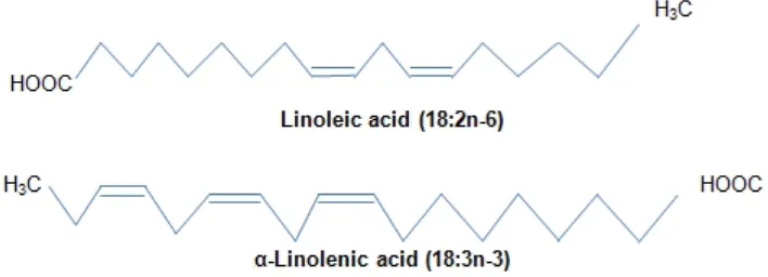 Table 1. Types and classification of lipids