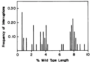 FIG. 9.exonucleasesegmentssents T-st(.)DNA after digestion to 0.9% withTIThe arrows indicate short, internal of single-stranded DNA